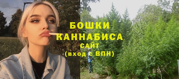 mix Богородицк